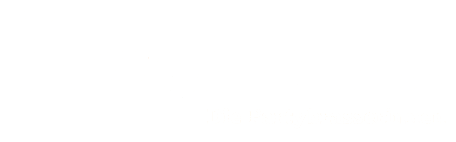 Fanfarista_neu2